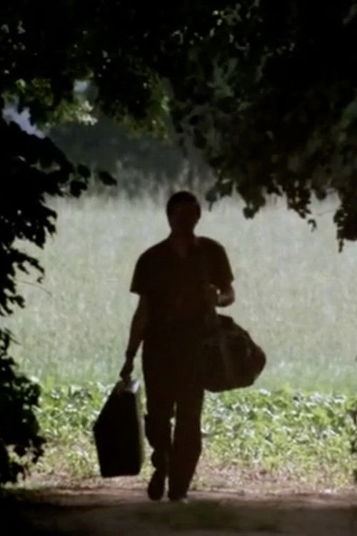 The Abnormal (1990) poster