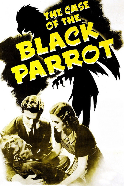The Case of the Black Parrot (1941) poster
