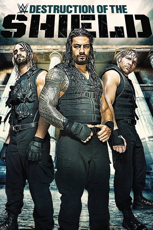 The Destruction of The Shield (2015) poster