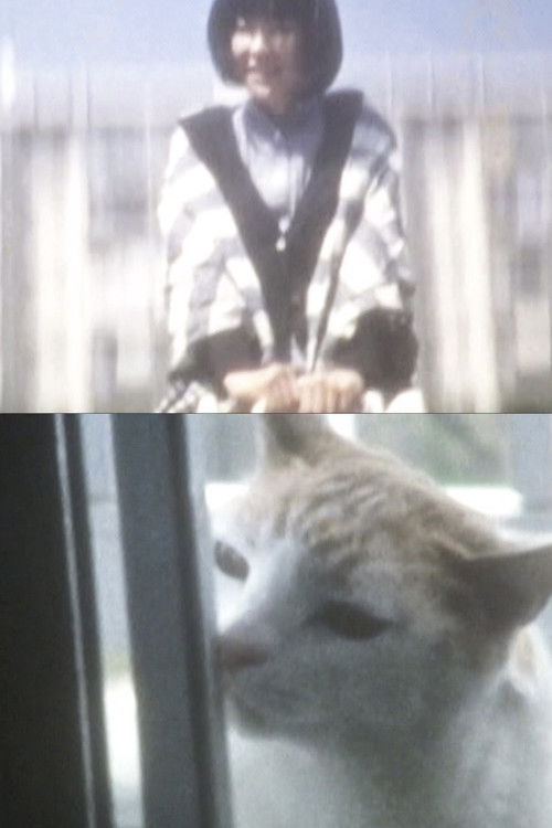 Have You Ever Tried Shiro-noir? (2013) poster