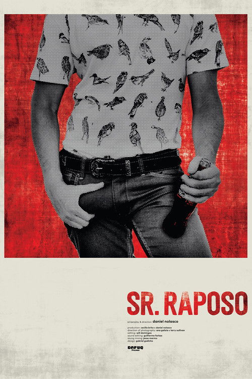 Sr. Raposo (2018) poster