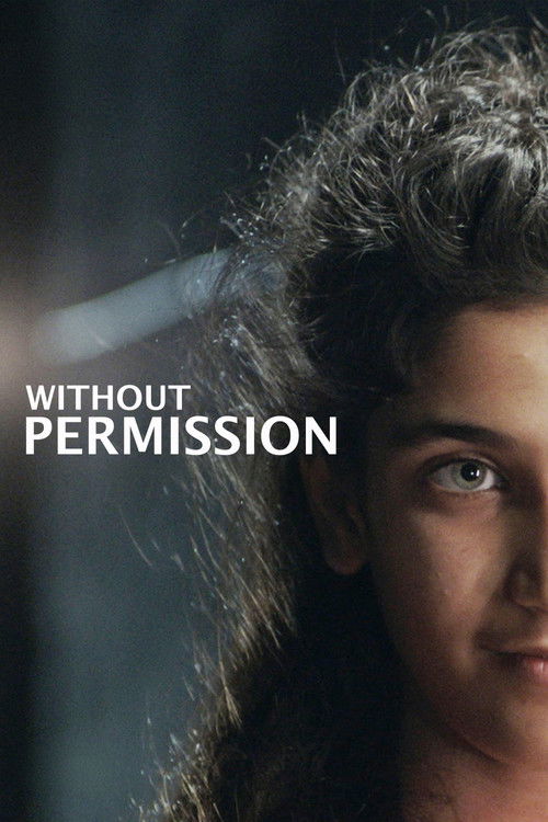 Without Permission (2025) poster