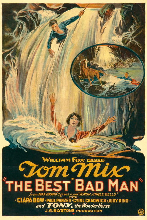 The Best Bad Man (1925) poster