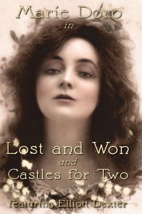 Lost and Won (1917) poster