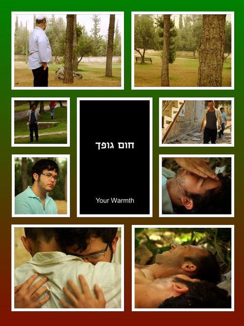 Your Warmth (2011) poster