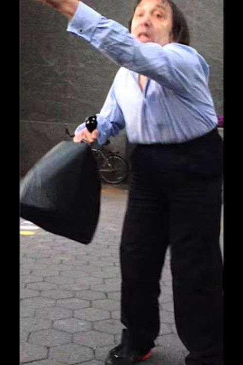 trumpet fight (2013) poster