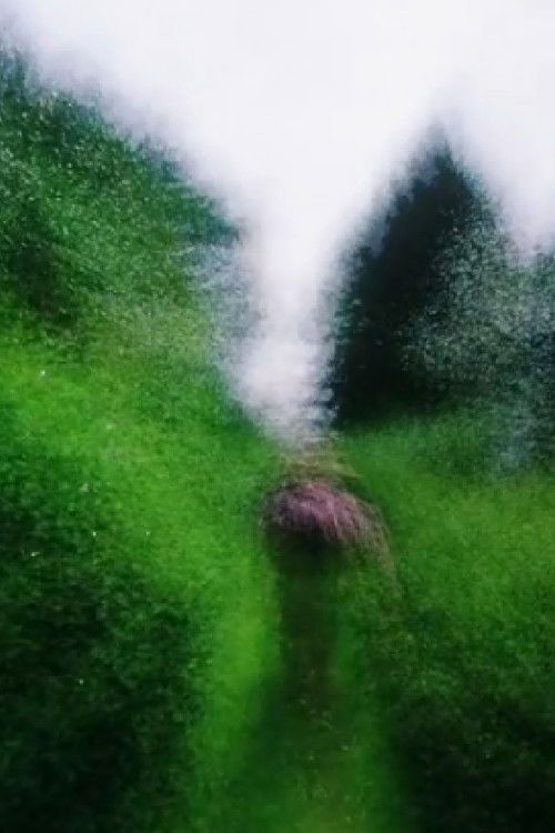 Brouillard #16 (2014) poster