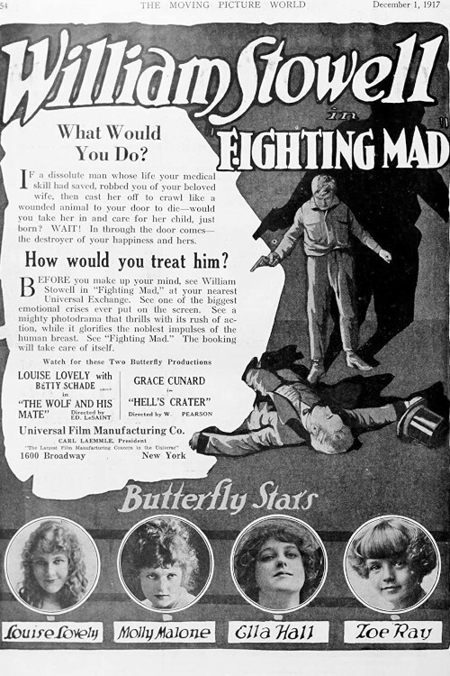 Fighting Mad (1917) poster