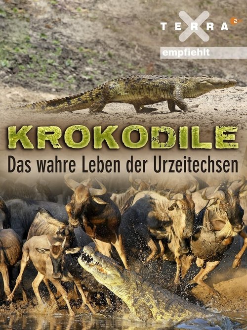 Krokodile - das wahre Leben der Urzeitechsen (2011) poster
