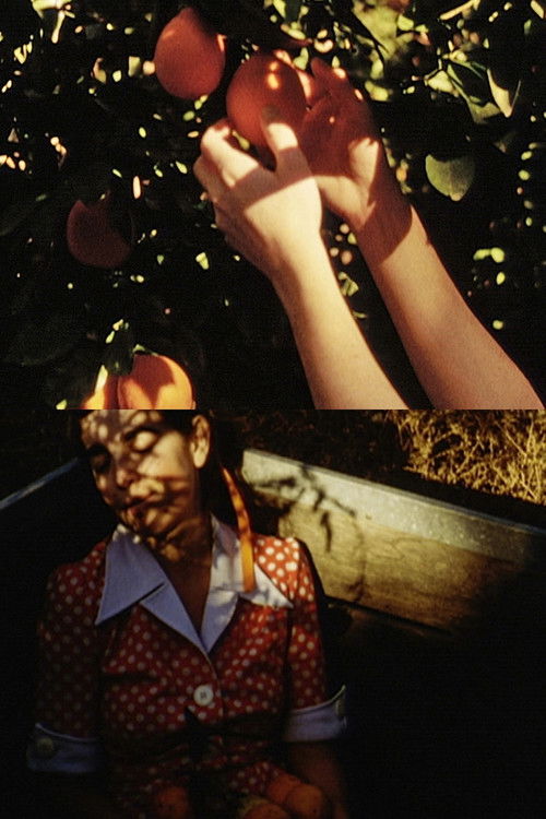 Picking Oranges (2012) poster