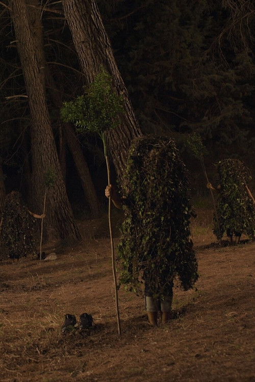 Autotrofia (2020) poster