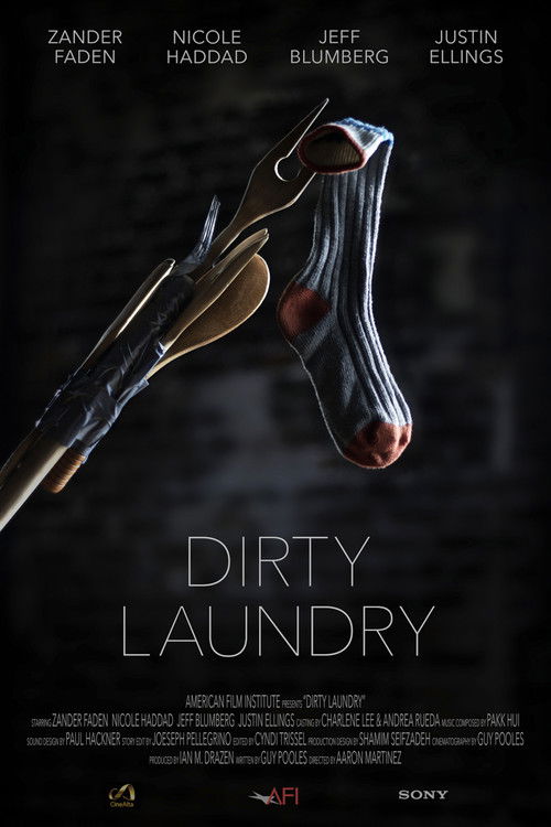 Dirty Laundry (2014) poster