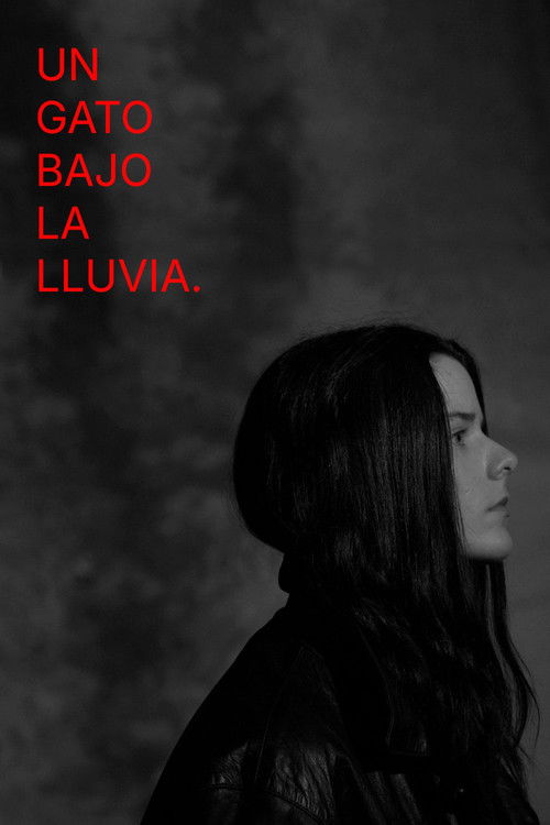 Un gato bajo la lluvia. (2026) poster