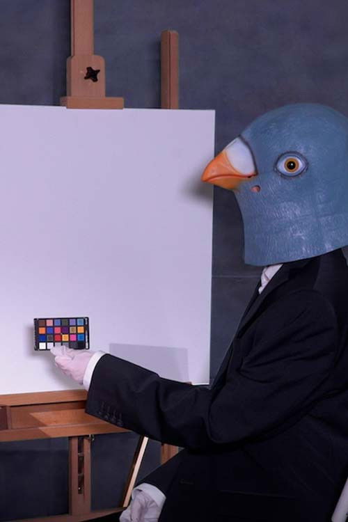 Birdsaver Report Volume 2 (2021) poster