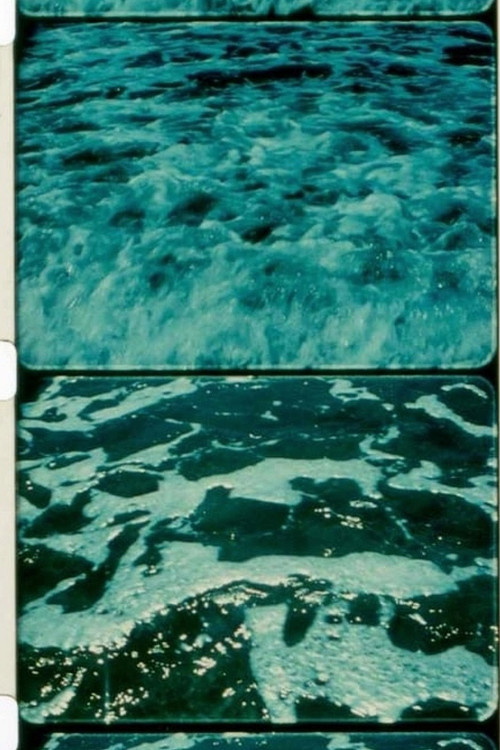 A Child’s Garden and the Serious Sea (1991) poster