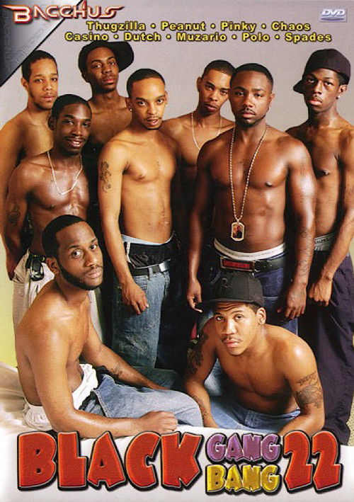 Black Gang Bang 22 (2005) poster