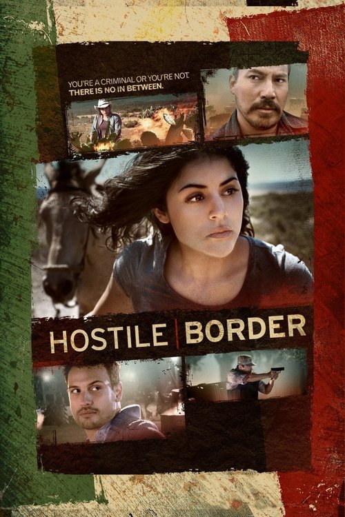 Hostile Border (2015) poster