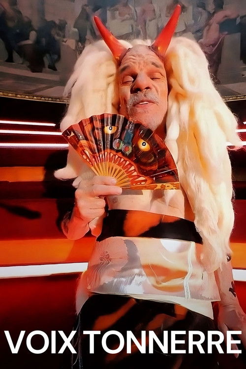 Thunder Voice (2023) poster