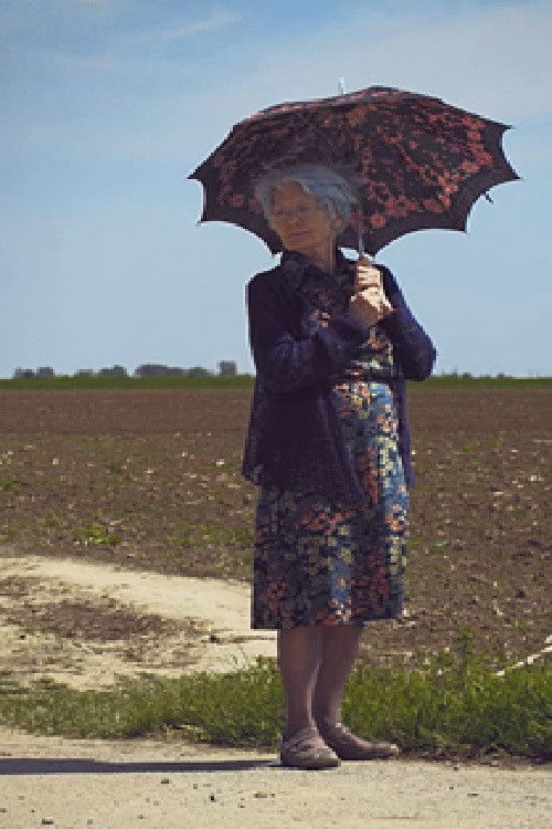 Granny Wants to Go Home (2014) poster