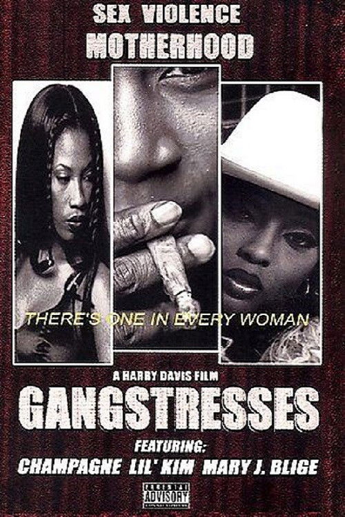 Gangstresses (2000) poster