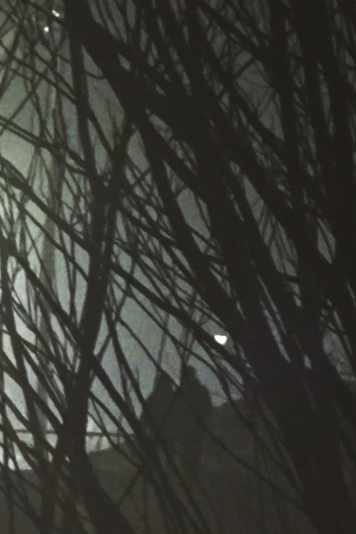 Winter Dream (2025) poster