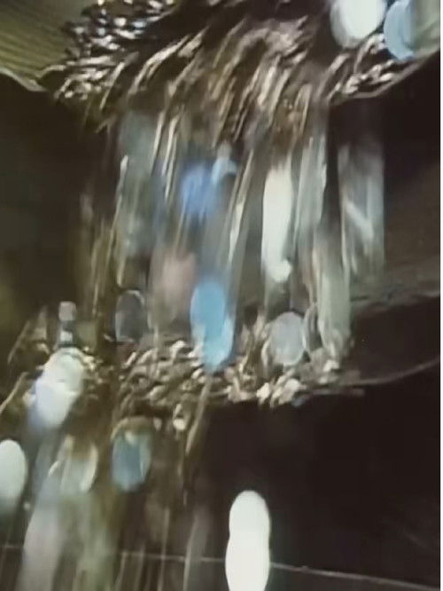 A Magical Field Trip to the Denver Mint (1989) poster