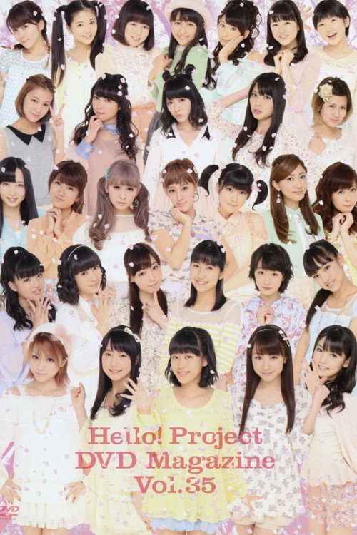 Hello! Project DVD Magazine Vol.35 (2013) poster