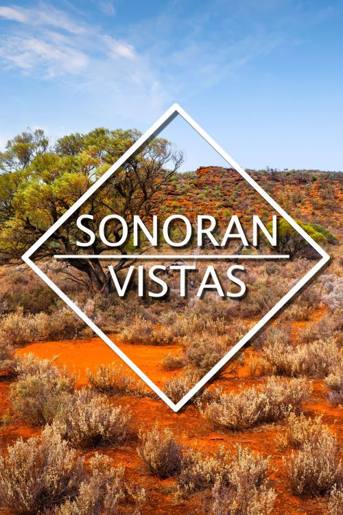 Sonoran Vistas (2022) poster