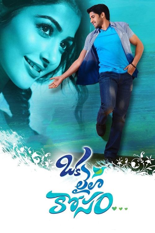 ఒక లైలా కోసం (2014) poster