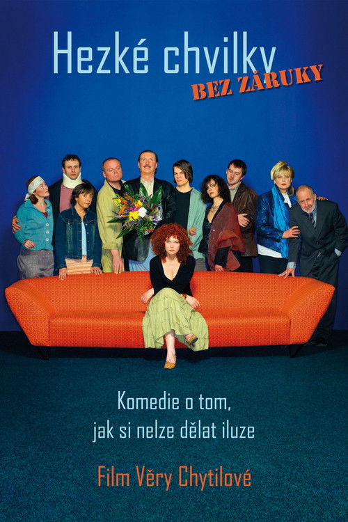 Pleasant Moments (2006) poster