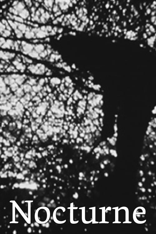 Nocturne (1980) poster