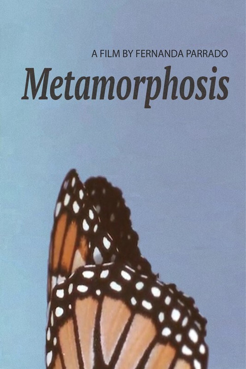 Metamorphosis (2019) poster