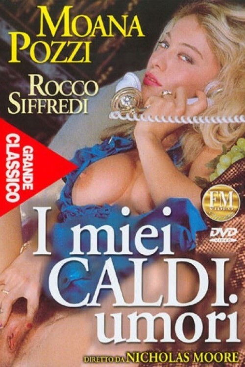 I Miei Caldi Umori (1992) poster