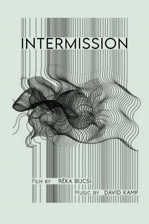 Intermission (2022) poster