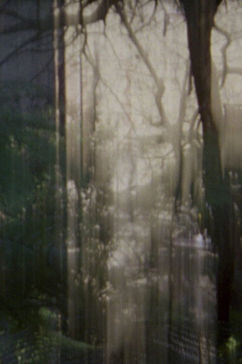 Die Urpflanze (2020) poster