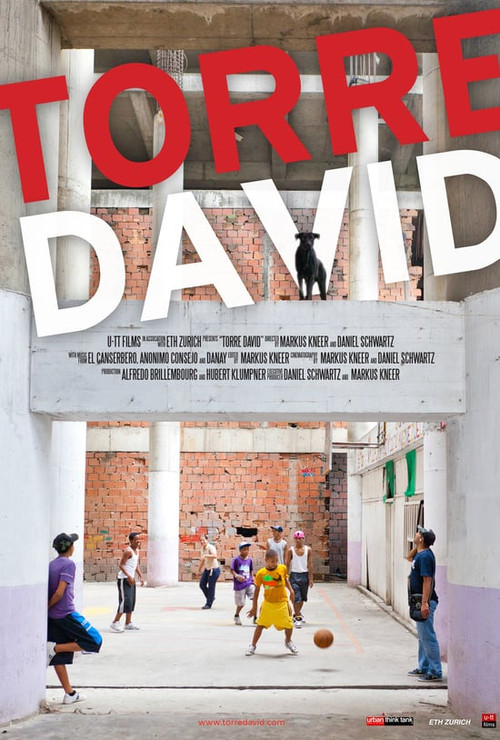 Torre David (2013) poster