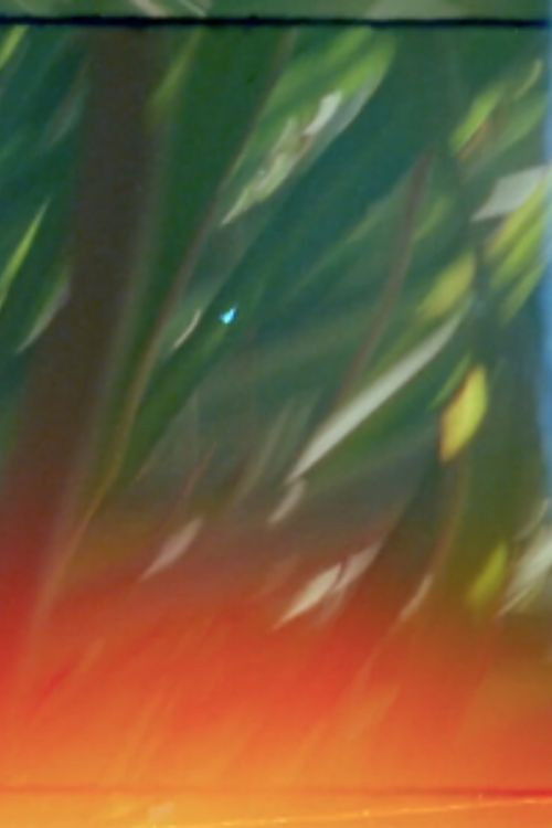 The Floating Gardens (2023) poster