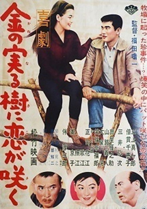 喜劇 金の実る樹に恋が咲く (1961) poster