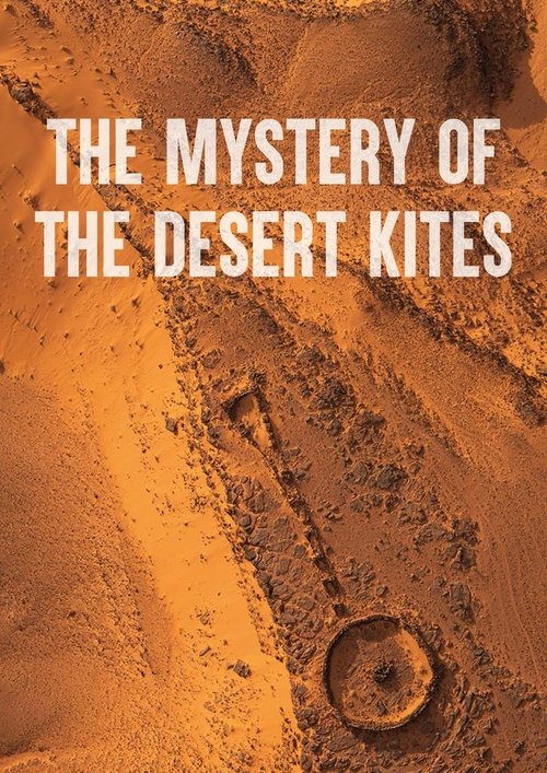 The Mystery of the Desert Kites (2024) poster