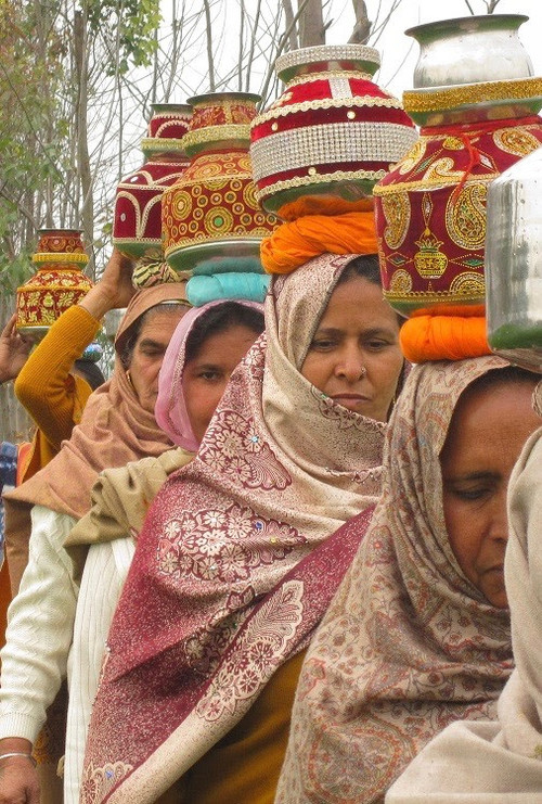 The Daughter Tree (2019) poster