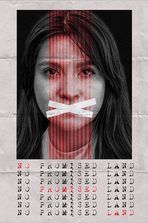 No Promised Land (2023) poster