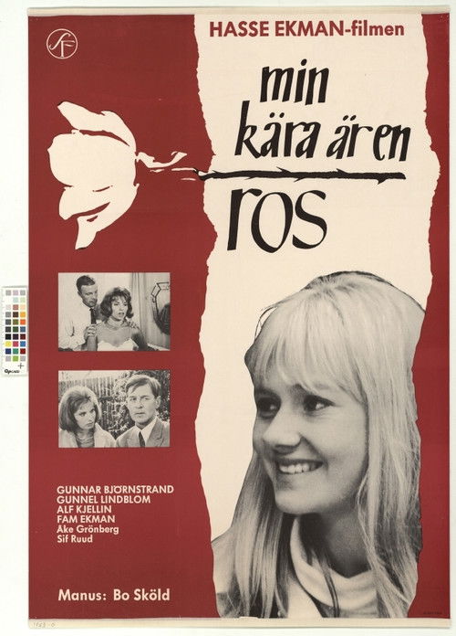 My Love Is Like a Rose (1963) poster