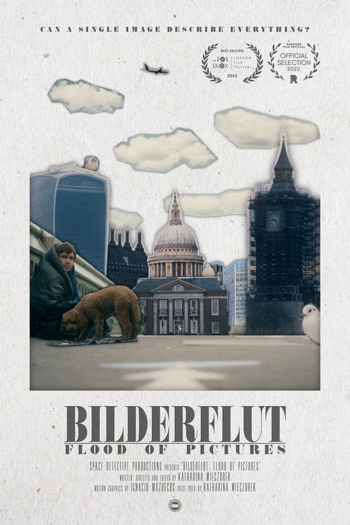 Bilderflut: Flood of Pictures (2022) poster