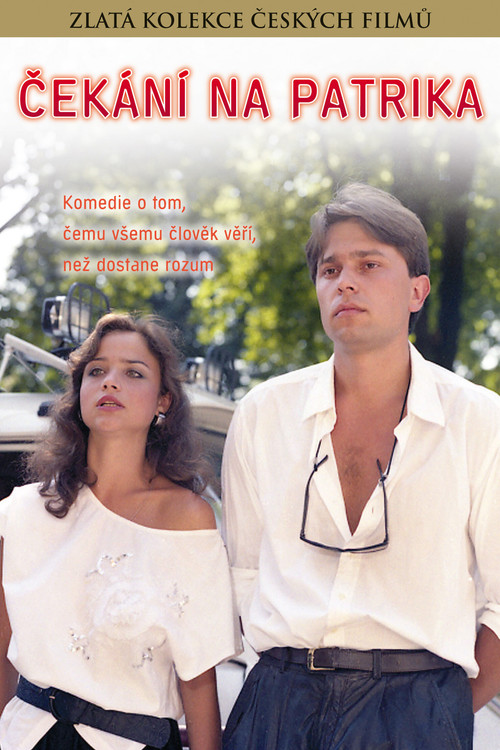 Waiting For Patrick (1990) poster