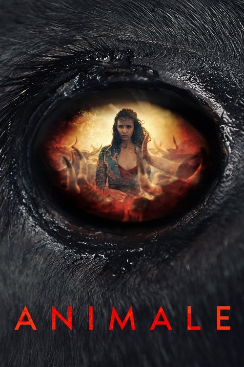 Animale (2024) poster