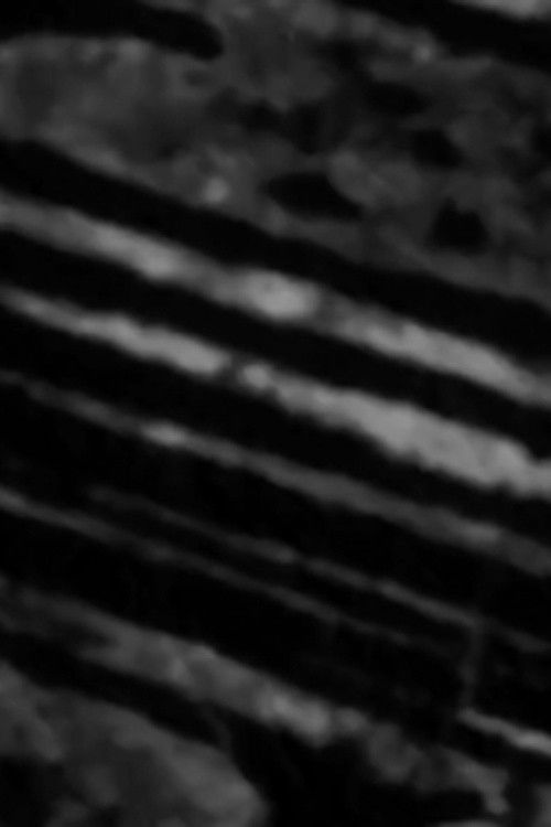 hexagram (2014) poster