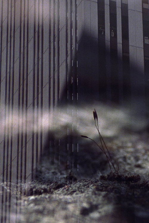 Cruel Optimism (2017) poster