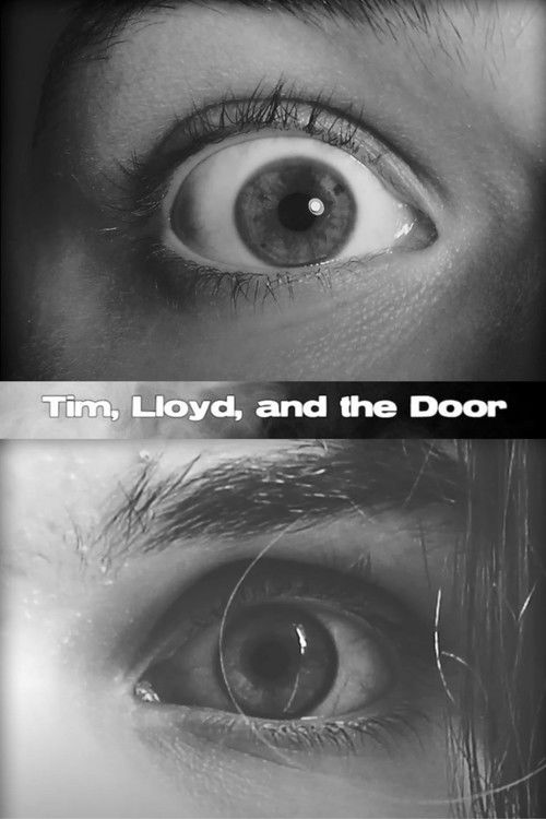 Tim, Lloyd, and the Door (2020) poster