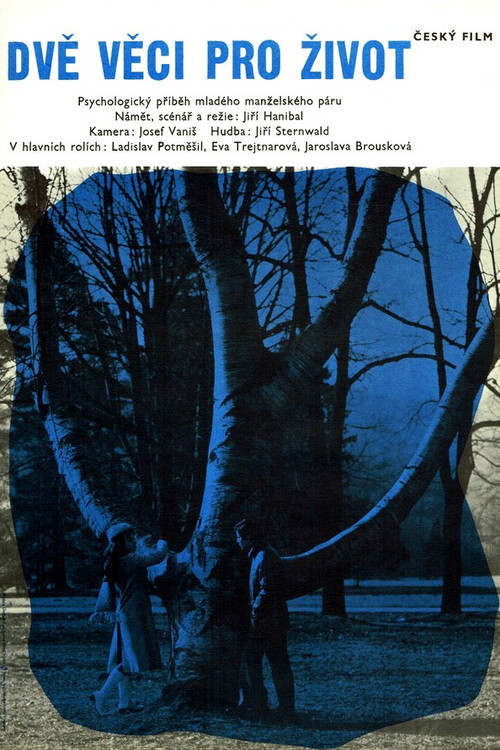 Dvě věci pro život (1973) poster