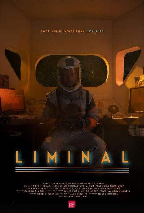 Liminal (2024) poster